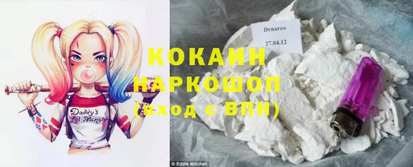бошки Белокуриха