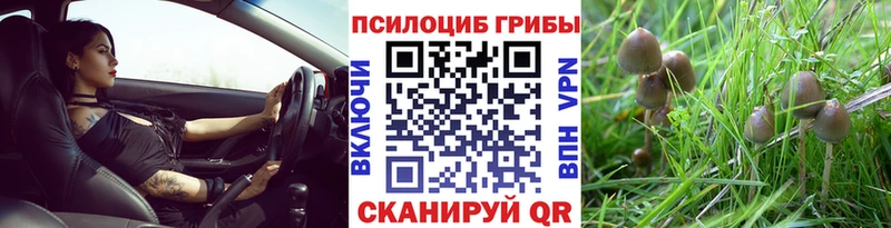 ОМГ ОМГ сайт  что такое наркотик  Красноуфимск  Галлюциногенные грибы GOLDEN TEACHER 